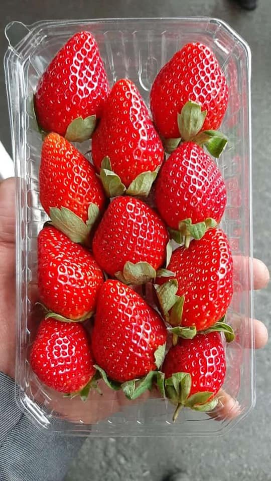 First Choice For trade and export