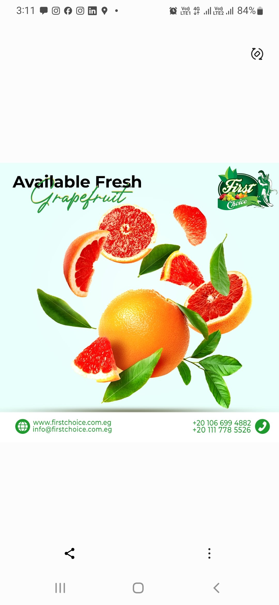 First Choice For trade and export