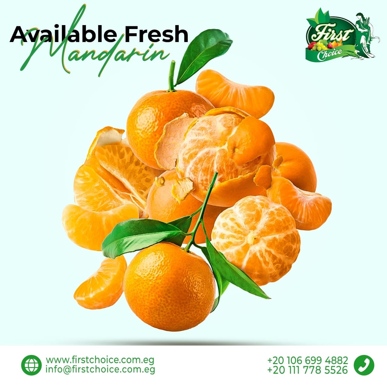 First Choice For trade and export