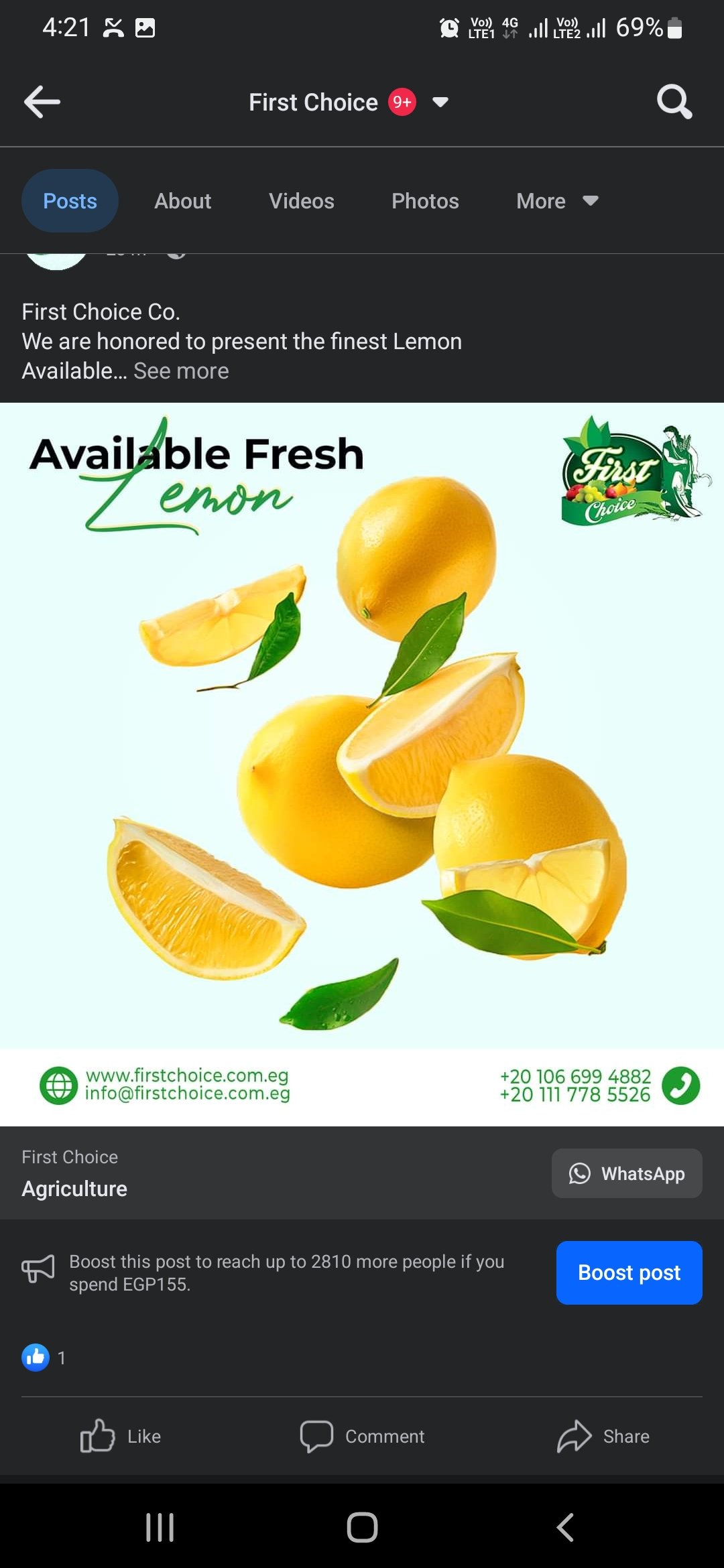 First Choice For trade and export