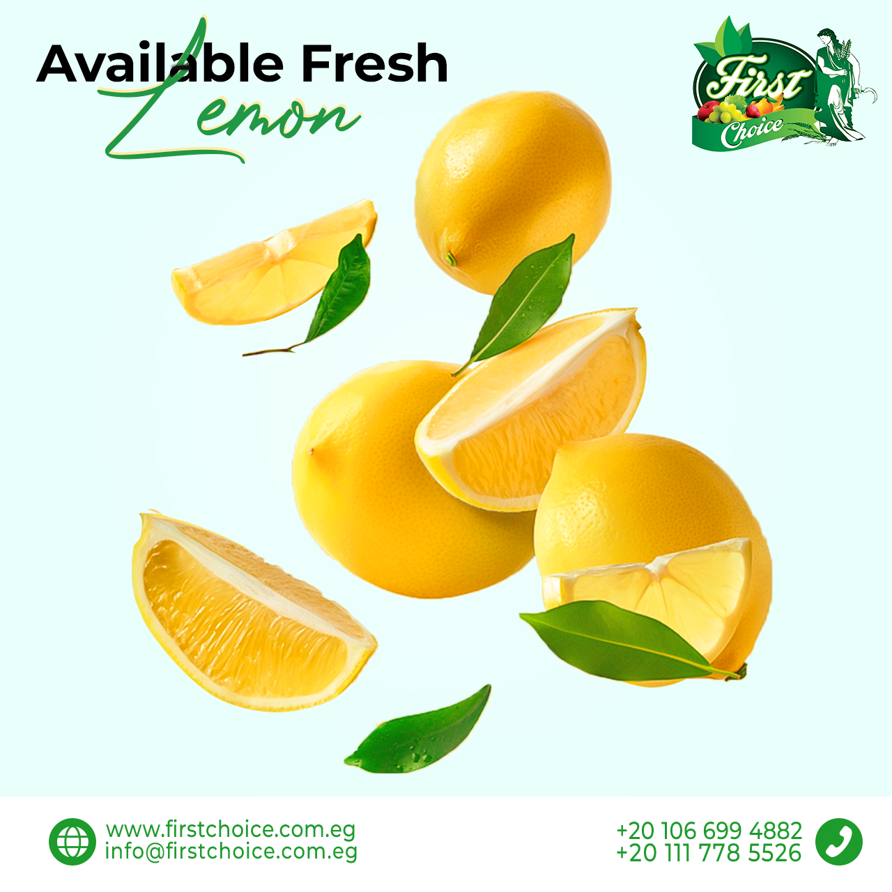 First Choice for Trade and Export