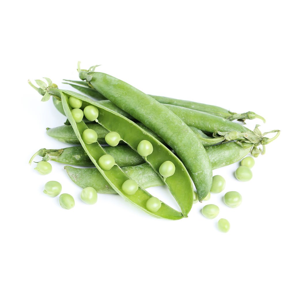 First Choice for Trade & Export