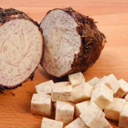 First Choice for Trade & Export