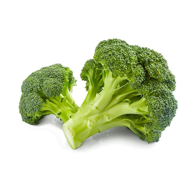 First Choice for Trade & Export