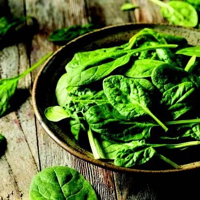 First Choice for Trade & Export