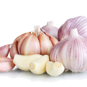 First Choice for Trade & Export