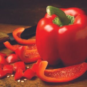 First Choice for Trade & Export