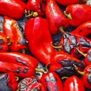 First Choice for Trade & Export