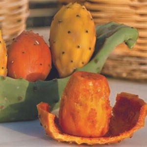 First Choice for Trade & Export