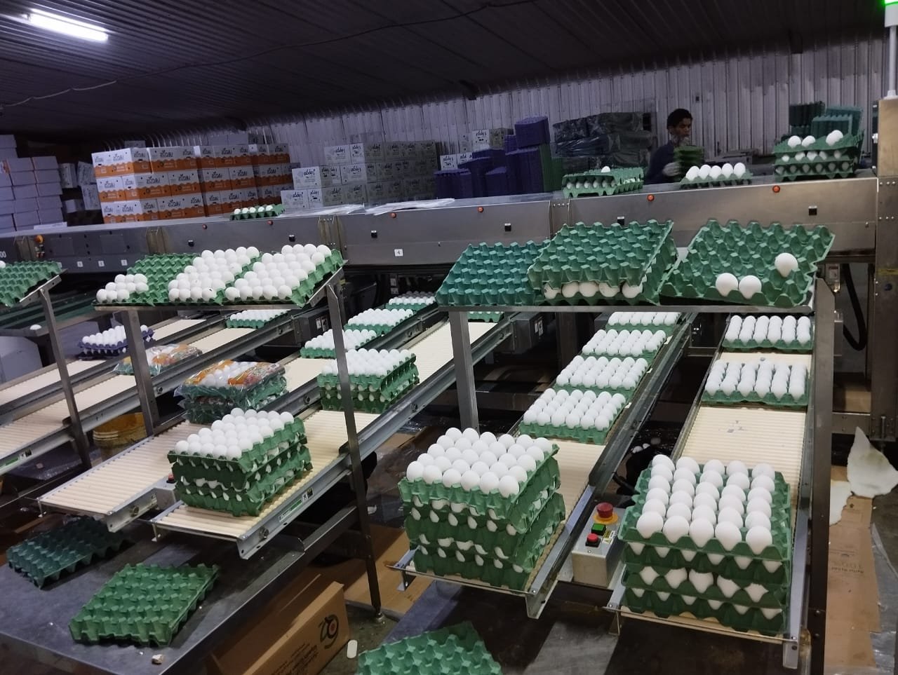 Small ryfcom egg 30 p - Barcode 795697126057