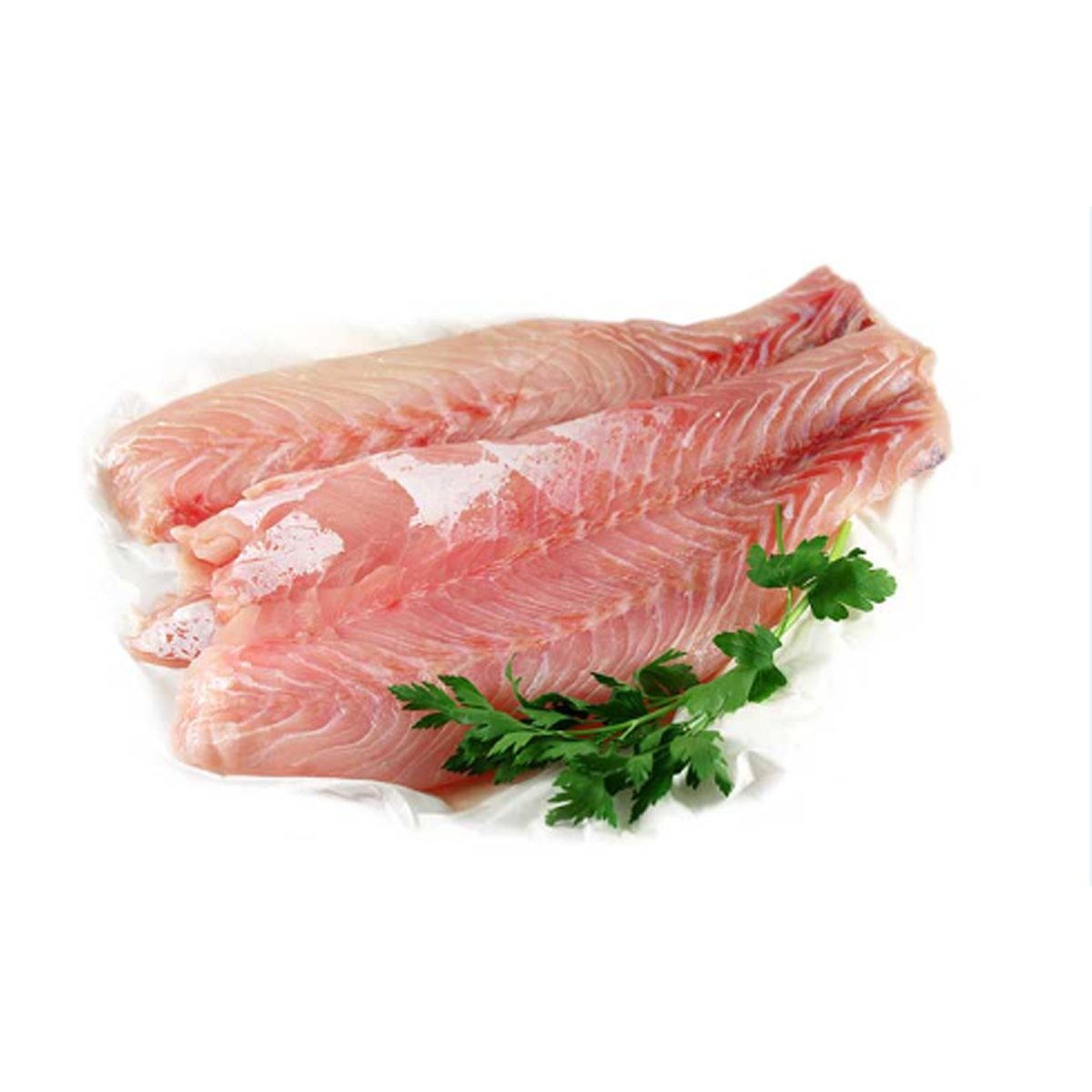 اسماك الريس 