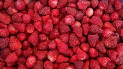 ENGINEER For Import & Export