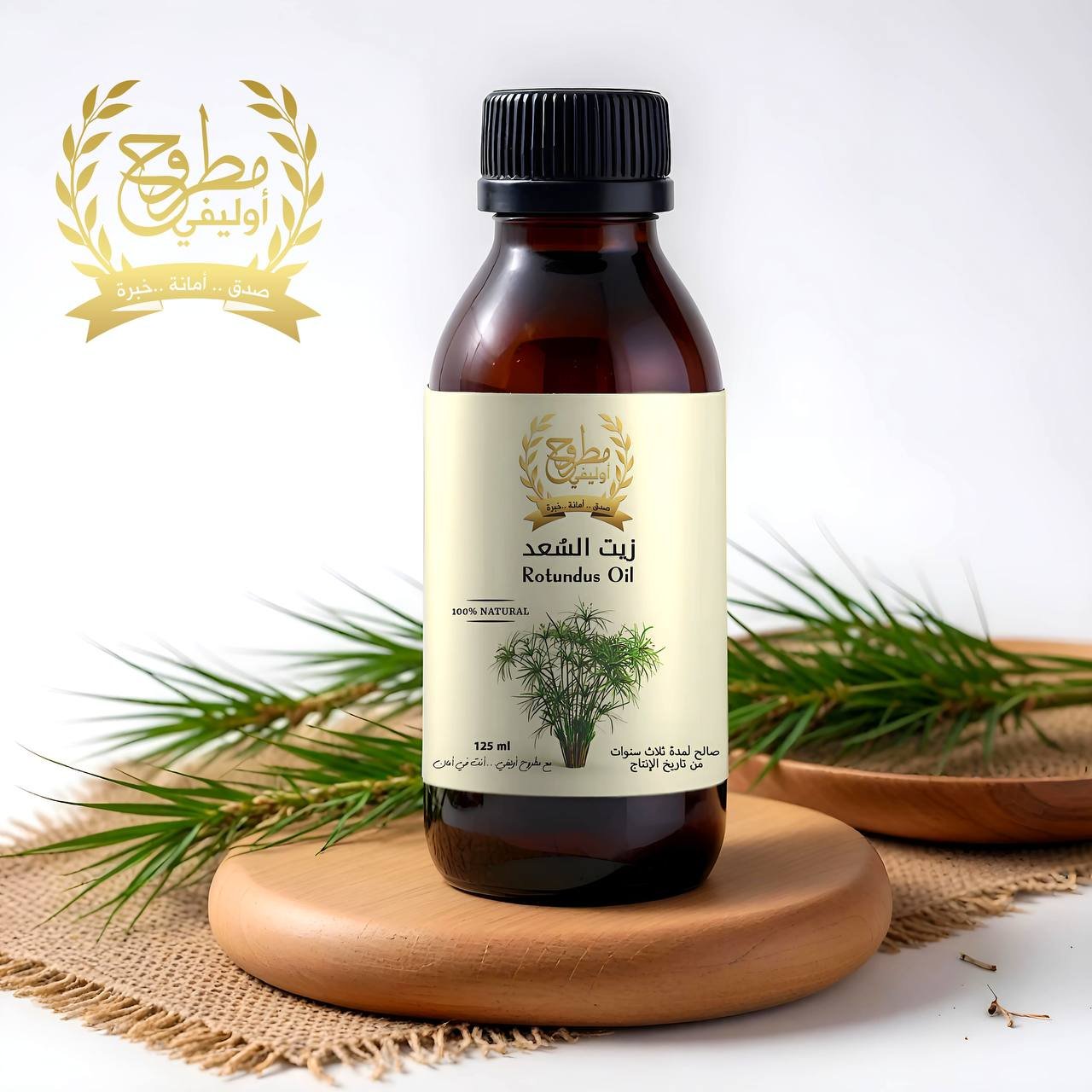 مصنع مطروح اوليفي /matrouh olive