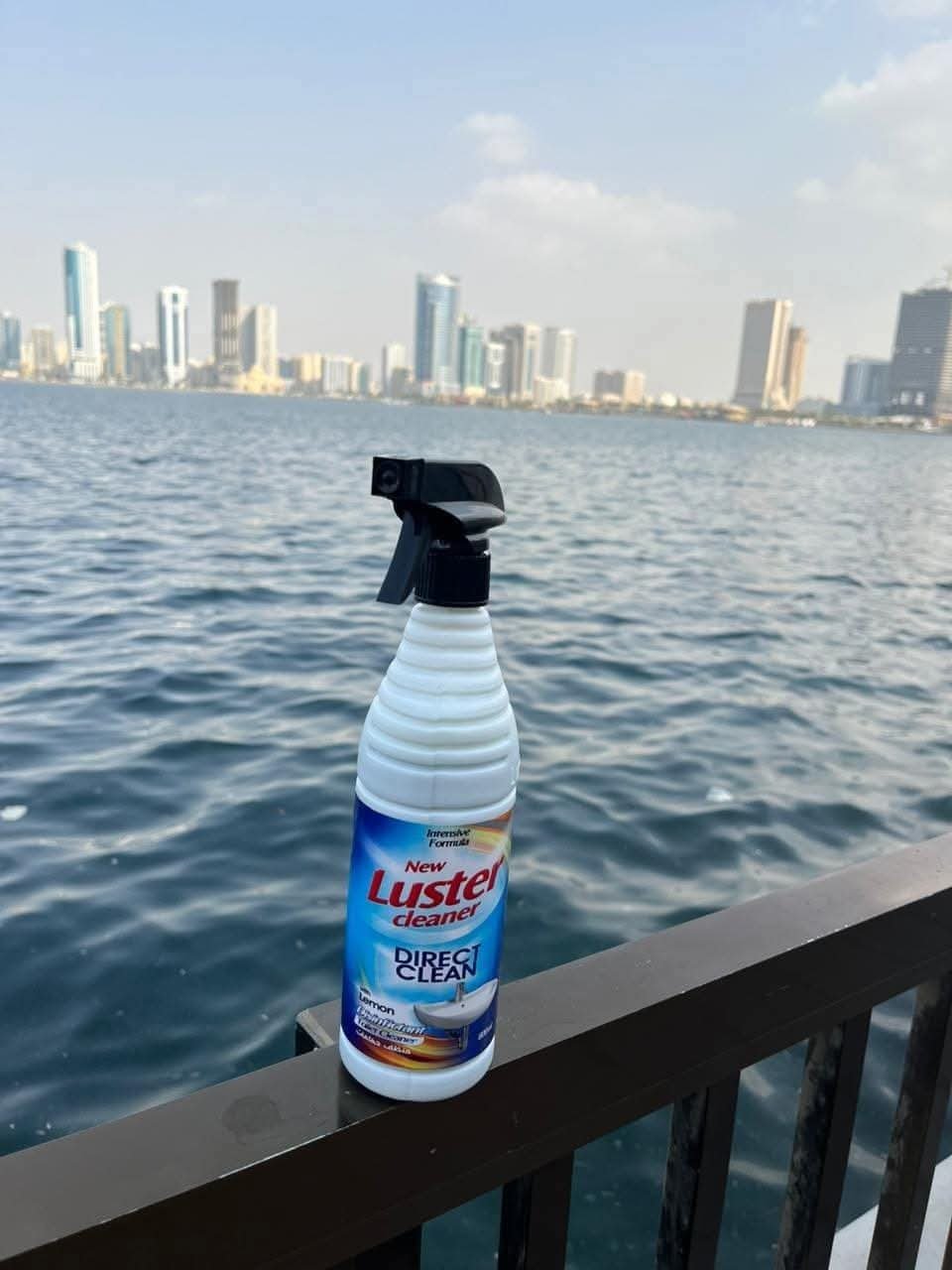 luster company - 795697106431