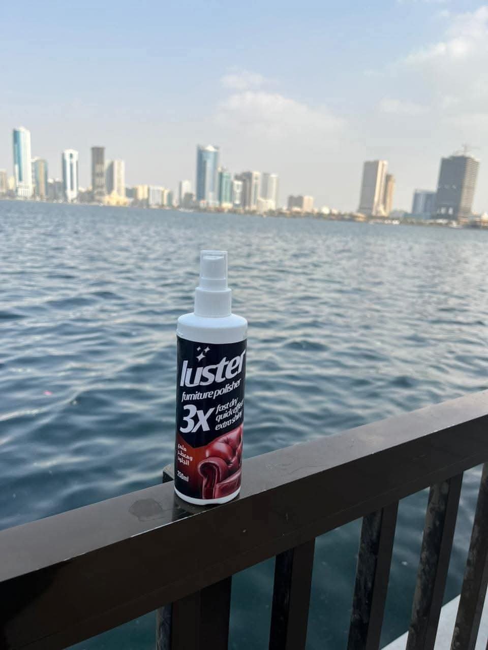 ملمع الجلود - Barcode 795697106387