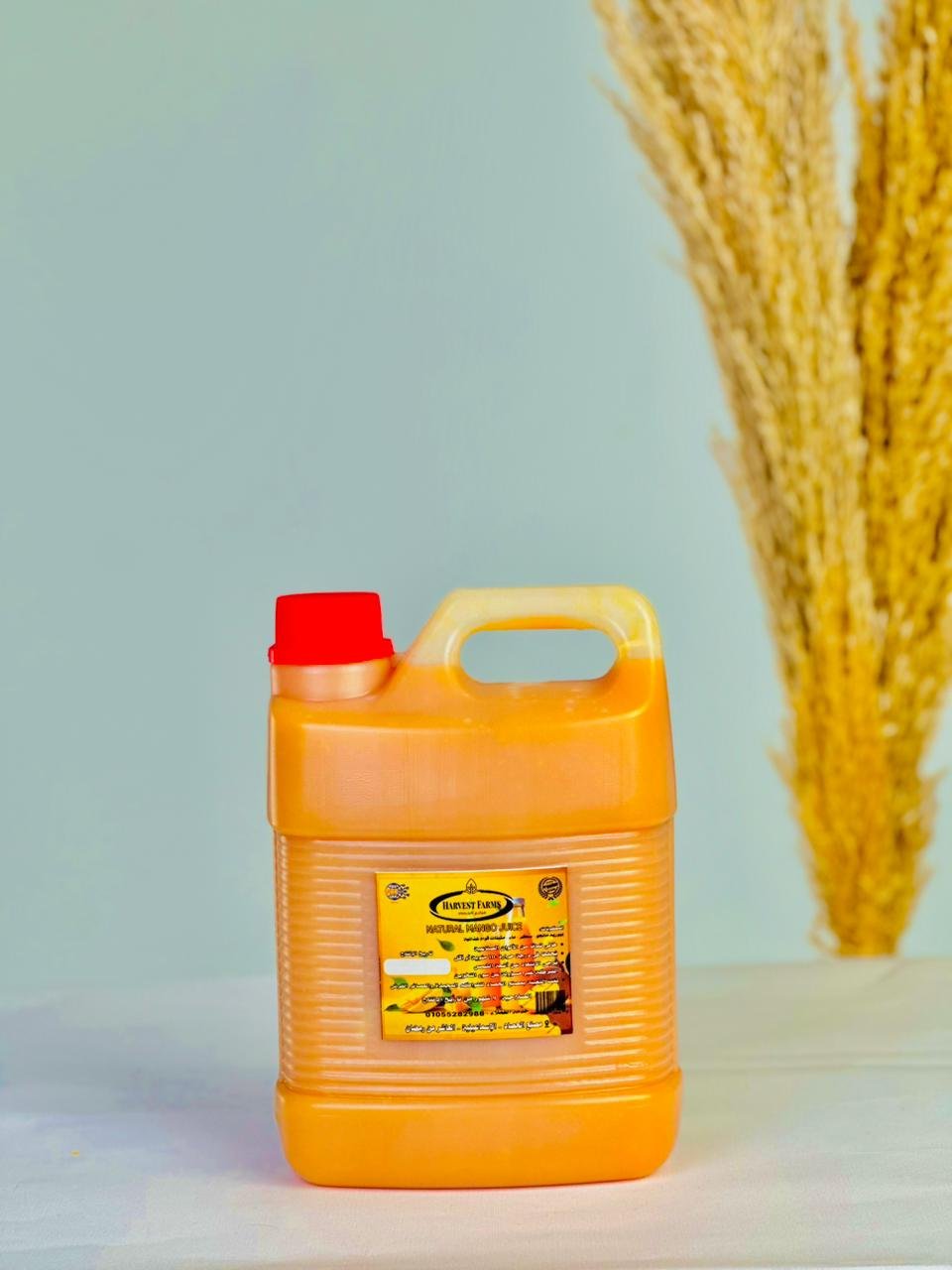 عصير مانجو فريش - Barcode 795697185429