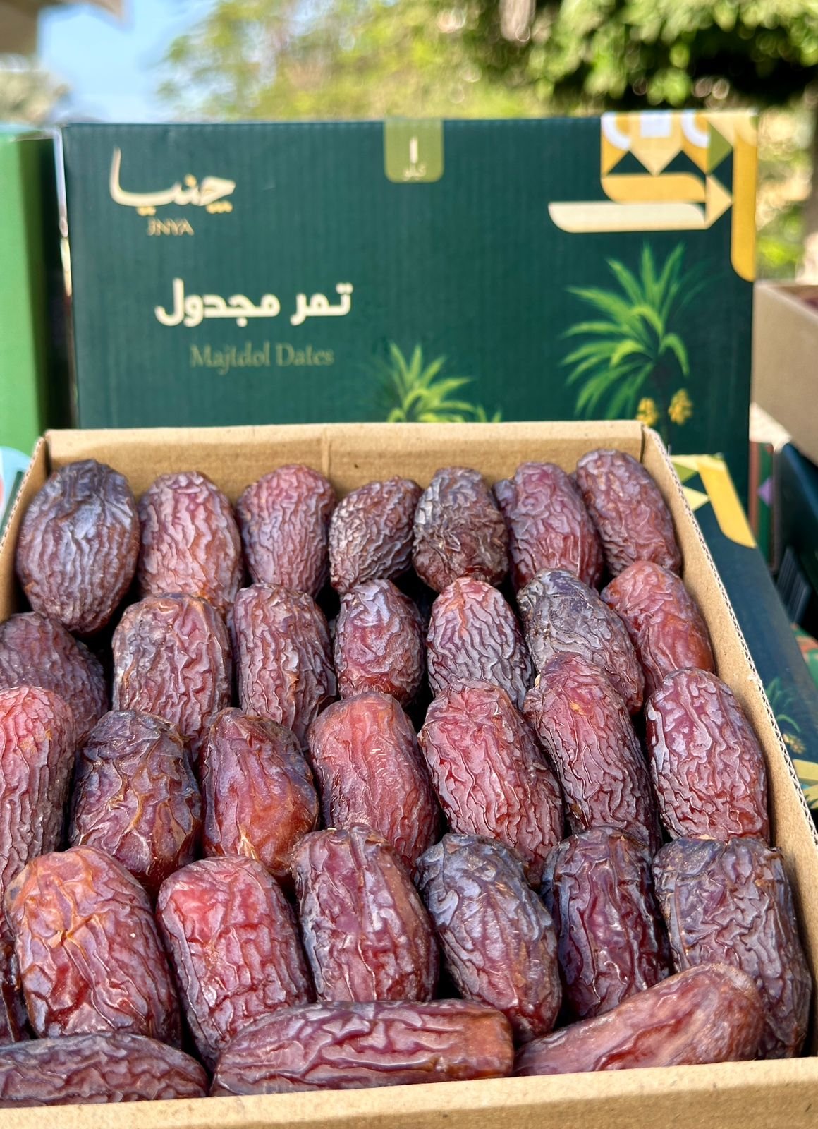 تمر مجدول 1ك - Barcode 795697275137