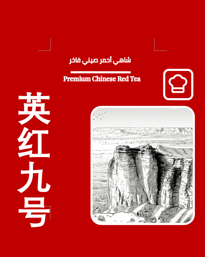 CookWoW - Barcode 795697333110