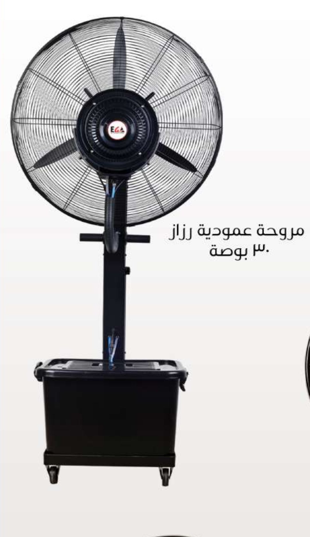 Carnival - Barcode 795697279517